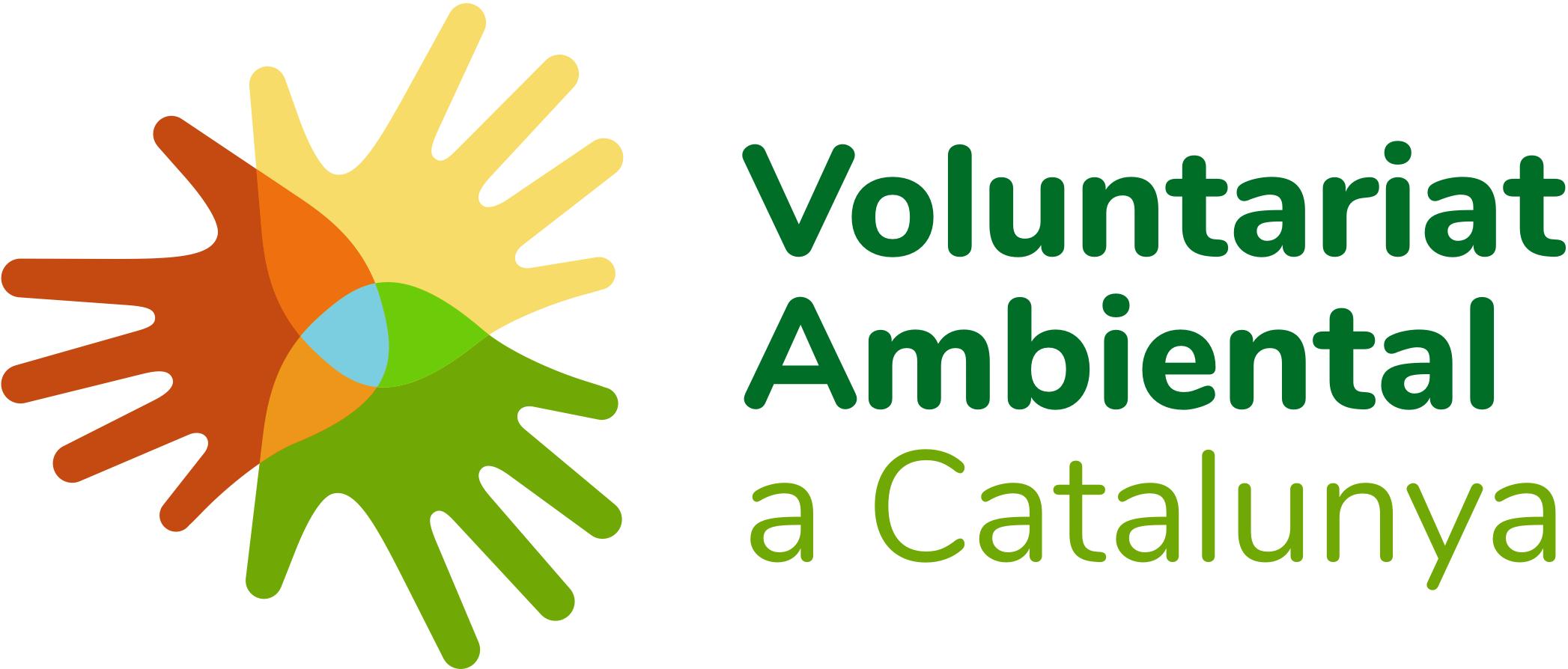 voluntariat ambiental